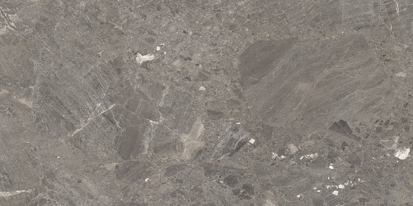 Ð£Ð½Ð¸Ð²ÐµÑ€ÑÐ°Ð»ÑŒÐ½Ð°Ñ Ð¿Ð»Ð¸Ñ‚ÐºÐ° (ÐºÐµÑ€Ð°Ð¼Ð¾Ð³Ñ€Ð°Ð½Ð¸Ñ‚) Azuvi Mystery Taupe POL 120x60 ÑÐ¼