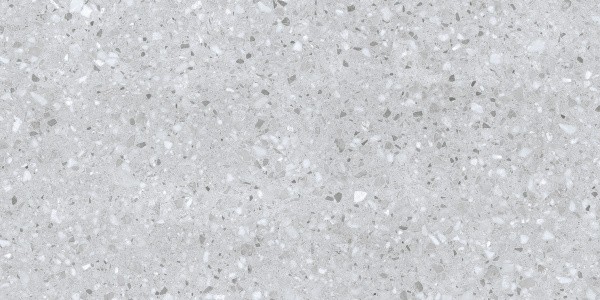 Универсальная плитка (керамогранит) Ennface Porto Silver Matt 120x60 см