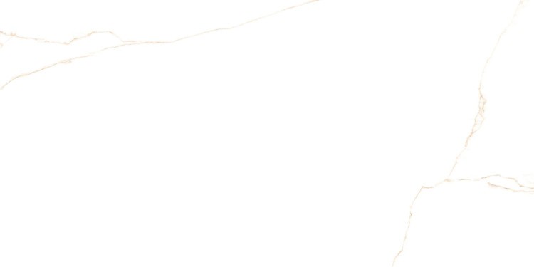 Универсальная плитка (керамогранит) Prissmacer Bianco Mare Gold 120x60 см