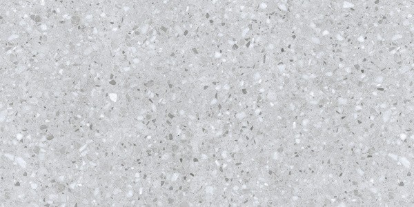 Универсальная плитка (керамогранит) Ennface Porto Silver Matt 120x60 см