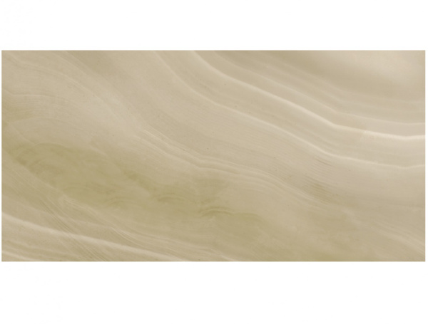 Универсальная плитка (керамогранит) Ceracasa Absolute Vison Pulido 49,1*98,2 см