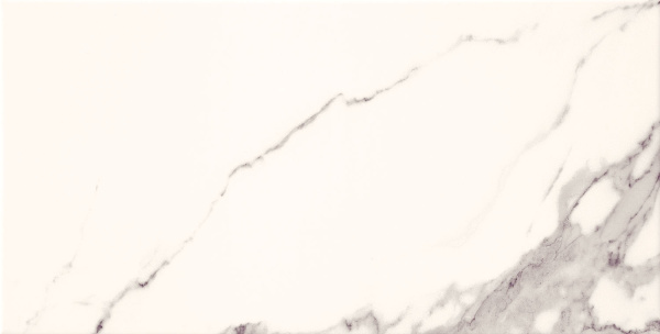ÐÐ°ÑÑ‚ÐµÐ½Ð½Ð°Ñ Ð¿Ð»Ð¸Ñ‚ÐºÐ° Domino Bonella white 30,8x60,8 ÑÐ¼