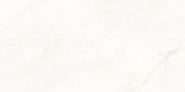 Универсальная плитка (керамогранит) Eternal Bianco Oro Glossy 120x60 см