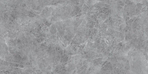 Универсальная плитка (керамогранит) Eternal Madona Grey Glossy 120x60 см