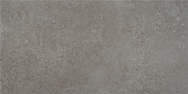 Ð£Ð½Ð¸Ð²ÐµÑ€ÑÐ°Ð»ÑŒÐ½Ð°Ñ Ð¿Ð»Ð¸Ñ‚ÐºÐ° (ÐºÐµÑ€Ð°Ð¼Ð¾Ð³Ñ€Ð°Ð½Ð¸Ñ‚) Alaplana Rodas Gris MAT 120x59.5 ÑÐ¼