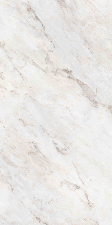 Универсальная плитка (керамогранит) Ennface Statuario Oro Lapatto Matt 120x60 см