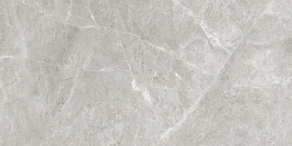 Универсальная плитка (керамогранит) Eternal Baltic Grey Matt 120x60 см Универсальная плитка (керамогранит) Eternal Baltic Grey Matt 120x60 см