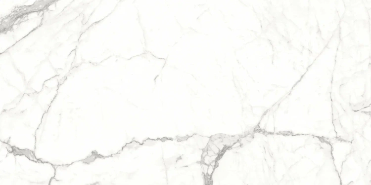 Универсальная плитка (керамогранит) Eternal Arabescato Romance Glossy 120x60 см