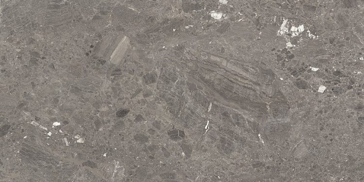 Универсальная плитка (керамогранит) Azuvi Mystery Taupe POL 120x60 см