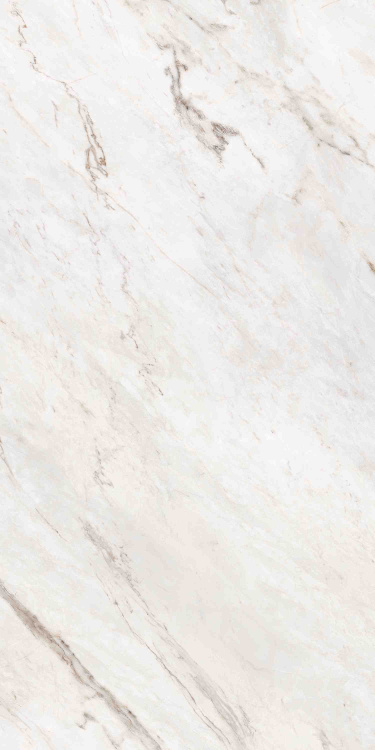 Универсальная плитка (керамогранит) Ennface Statuario Oro Lapatto Matt 120x60 см