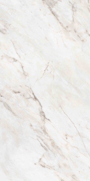 Универсальная плитка (керамогранит) Ennface Statuario Oro Lapatto Matt 120x60 см