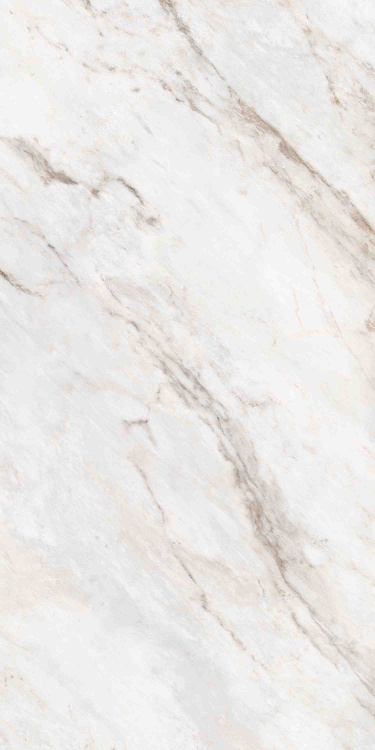 Универсальная плитка (керамогранит) Ennface Statuario Oro Lapatto Matt 120x60 см