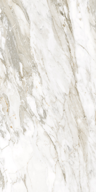 Универсальная плитка (керамогранит) Ennface Calacatta Citrus Matt 120x60 см