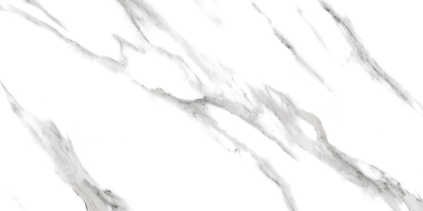 Универсальная плитка (керамогранит) Ennface Arabescato White Glossy 120x60 см Универсальная плитка (керамогранит) Ennface Arabescato White Glossy 120x60 см