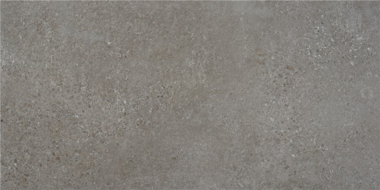 Универсальная плитка (керамогранит) Alaplana Rodas Gris MAT 120x59.5 см