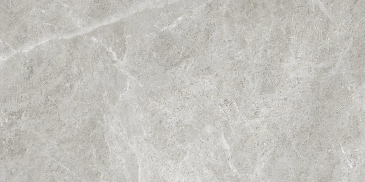 Универсальная плитка (керамогранит) Eternal Baltic Grey Matt 120x60 см