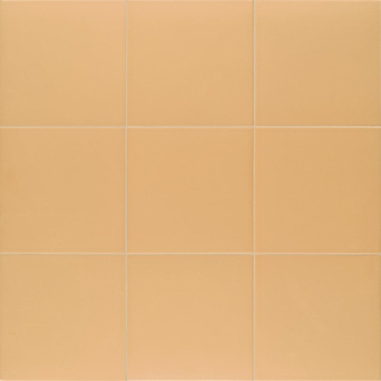 Универсальная плитка (керамогранит) Mainzu Technical Tangerine 20x20 см