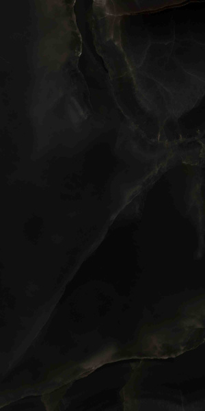 Универсальная плитка (керамогранит) Ennface Onyx Noir High Glossy 120x60 см