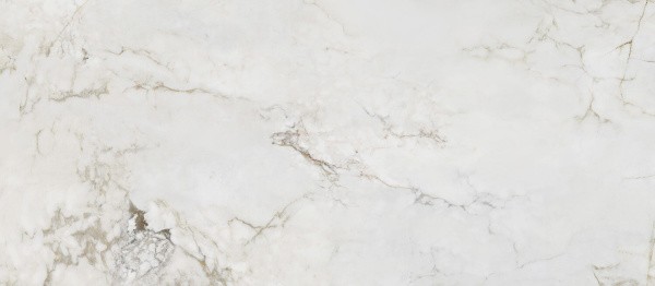 Универсальная плитка (керамогранит) Arte Shellstone white POL 274.8x119.8 см