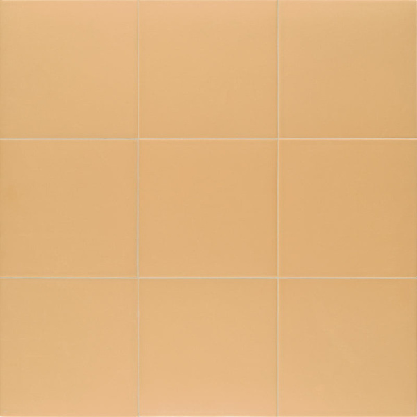 Ð£Ð½Ð¸Ð²ÐµÑ€ÑÐ°Ð»ÑŒÐ½Ð°Ñ Ð¿Ð»Ð¸Ñ‚ÐºÐ° (ÐºÐµÑ€Ð°Ð¼Ð¾Ð³Ñ€Ð°Ð½Ð¸Ñ‚) Mainzu Technical Tangerine 20x20 ÑÐ¼