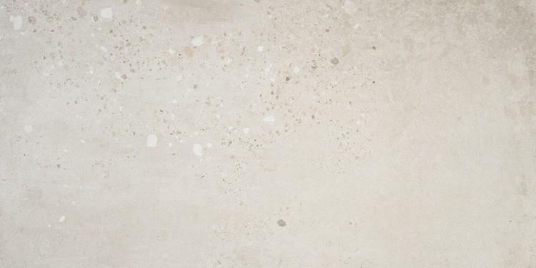 Универсальная плитка (керамогранит) Alaplana Illusion gris POL 120x59.5 см
