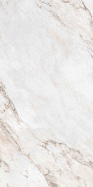 Универсальная плитка (керамогранит) Ennface Statuario Oro Lapatto Matt 120x60 см