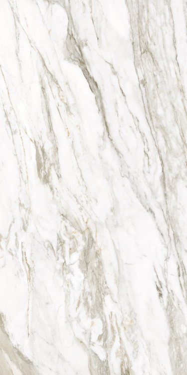 Универсальная плитка (керамогранит) Ennface Calacatta Citrus Matt 120x60 см