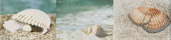 Настенный бордюр Maxima azure 1 448x100 / 8mm