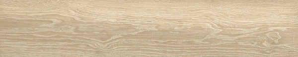 Универсальная плитка (керамогранит) Argenta Nepal Natural 23x120 см