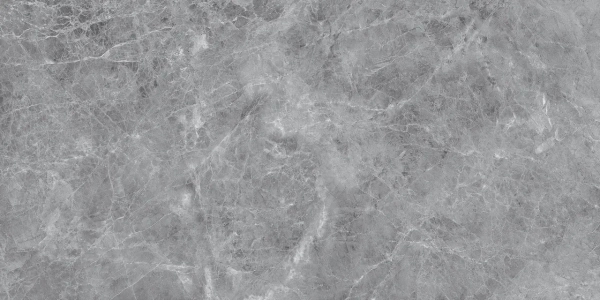Универсальная плитка (керамогранит) Eternal Madona Grey Matt 120x60 см Универсальная плитка (керамогранит) Eternal Madona Grey Matt 120x60 см