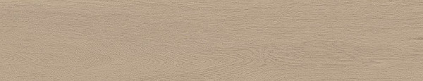 Универсальная плитка (керамогранит) Argenta Arbela Natural 23x120 см