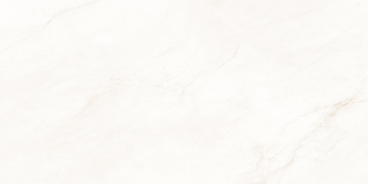 Универсальная плитка (керамогранит) Eternal Bianco Oro Glossy 120x60 см