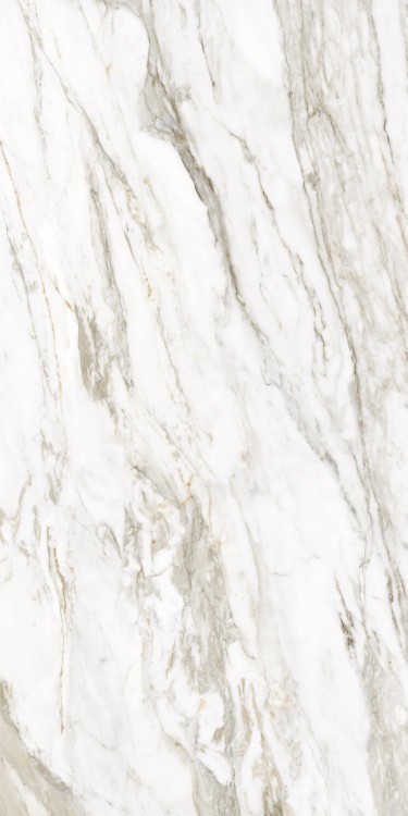 Универсальная плитка (керамогранит) Ennface Calacatta Citrus Glossy 120x60 см